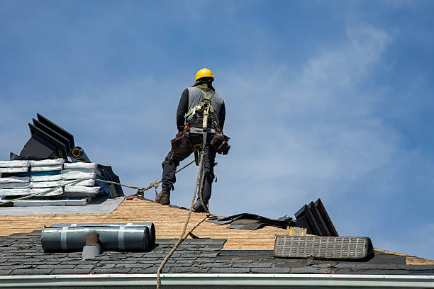 Professional Roof Repair technician working in Winnie, TX